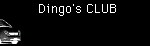 Dingo's CLUB